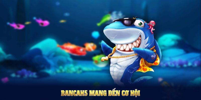 bancah5 mang đến cơ hội nhận nhiều ưu đãi giá trị cho tất cả người chơi mới và cũ