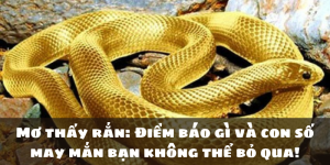 Mơ thấy rắn